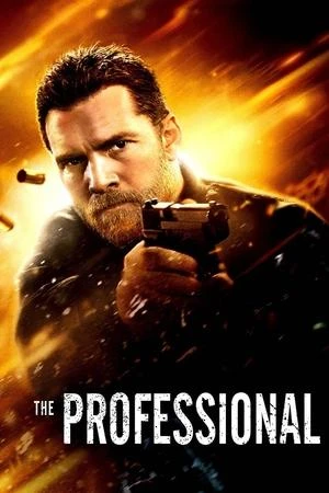 Regarder The Professional en streaming complet
