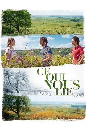 Regarder Ce qui nous lie en streaming complet