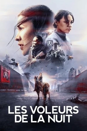 Regarder Les Voleurs de la nuit en streaming complet