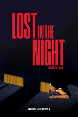 Regarder Lost In The Night en streaming complet