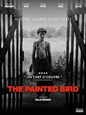 Regarder The Painted Bird en streaming complet