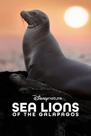 Regarder Otaries des Galápagos en streaming complet