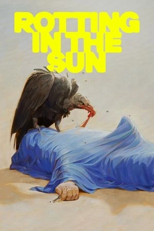 Regarder Rotting in the Sun en streaming complet