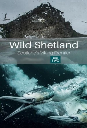Regarder Wild Shetland: Scotland's Viking Frontier en streaming complet