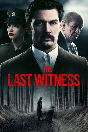Regarder The Last Witness en streaming complet
