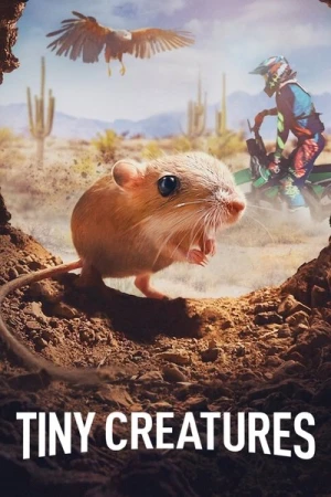 Regarder Tiny Creatures - Saison 1 en streaming complet