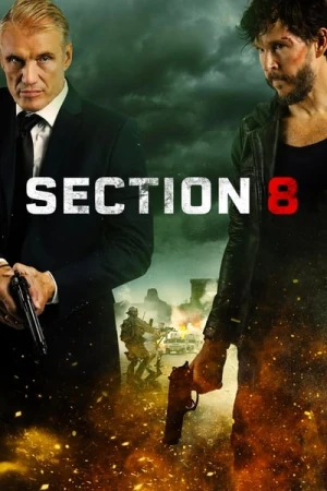  Section 8 affiche 