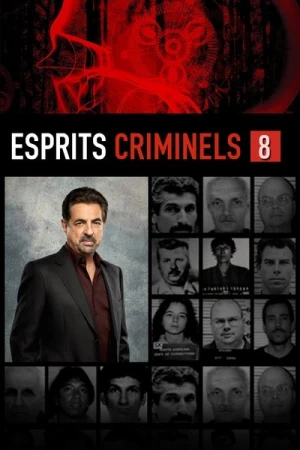  Esprits criminels - Saison 8 affiche 