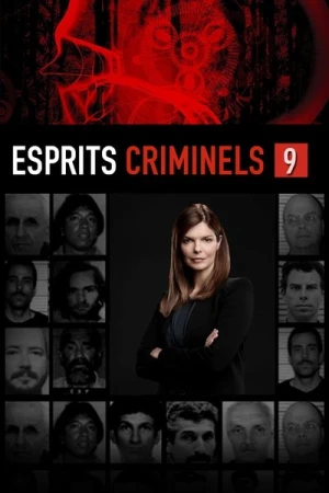  Esprits criminels - Saison 9 affiche 