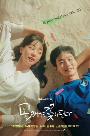 Regarder Du sable nous renaîtrons - Saison 1 en streaming complet
