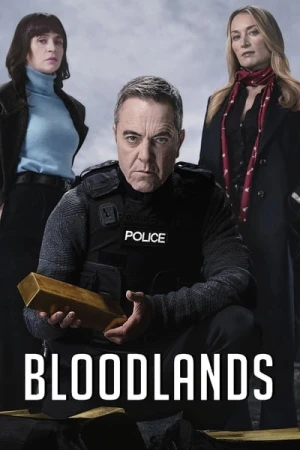  Bloodlands - Saison 2 affiche 