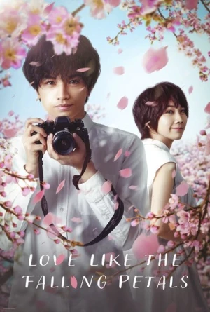 Regarder Love Like the Falling Petals en streaming complet