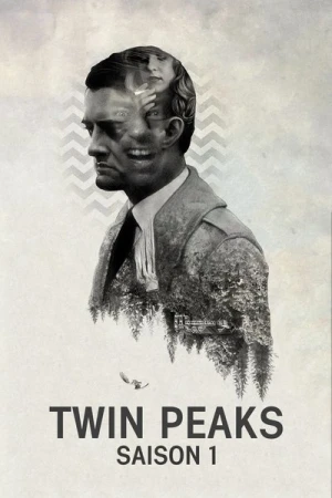  Twin Peaks - Saison 1 affiche 