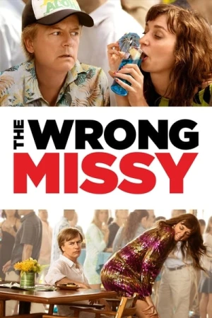 Regarder The Wrong Missy en streaming complet