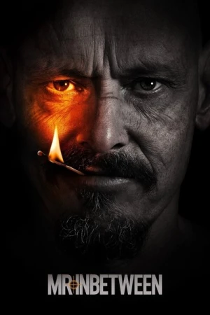  Mr Inbetween - Saison 3 affiche 