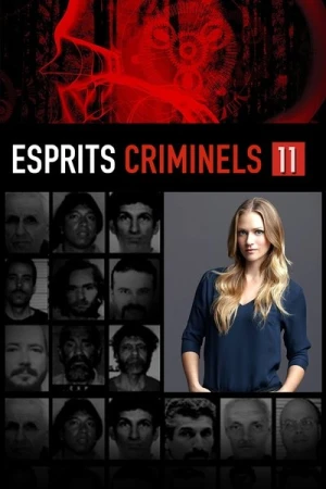  Esprits criminels - Saison 11 affiche 
