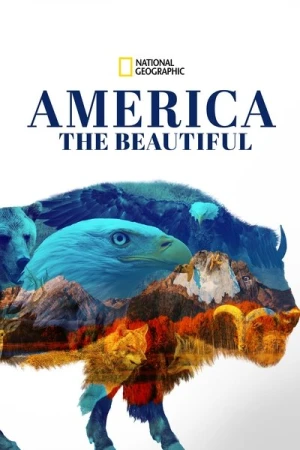  America the Beautiful - Saison 1 affiche 