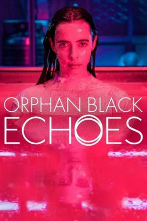  Orphan Black: Echoes - Saison 1 affiche 