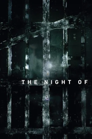  The Night Of - Saison 1 affiche 