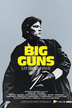 Regarder Big Guns - Les Grands fusils en streaming complet
