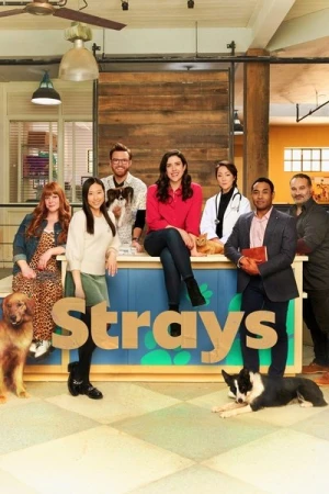 Regarder Strays - Saison 2 en streaming complet