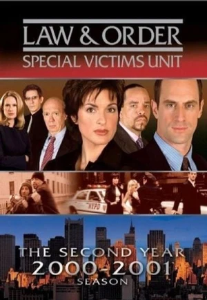  New York Unité Spéciale - Saison 2 affiche 