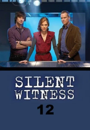  Affaires non classées - Saison 12 affiche 