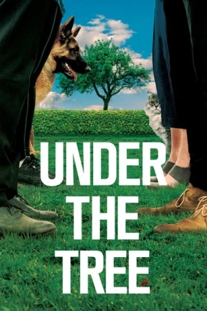 Regarder Under the Tree en streaming complet