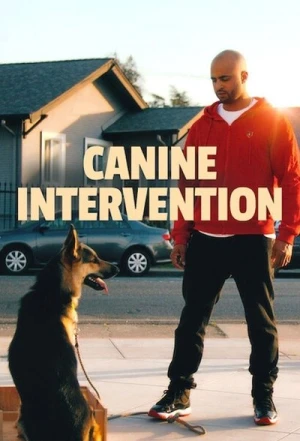 Regarder Canine Academy - Saison 1 en streaming complet