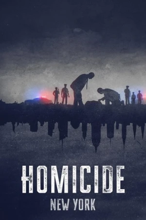  Homicide - Saison 1 affiche 