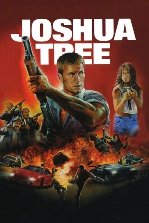 Regarder Au dessus de la loi en streaming complet