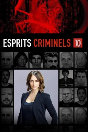  Esprits criminels - Saison 10 affiche 