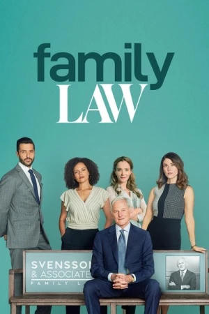  Family Law - Saison 2 affiche 