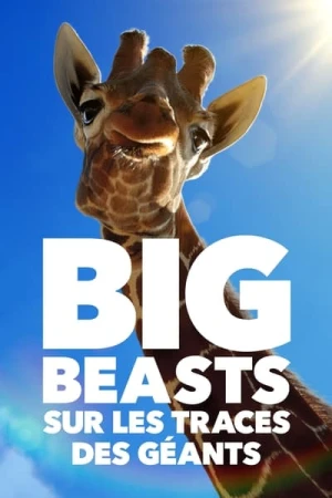  Big Beasts - Saison 1 affiche 
