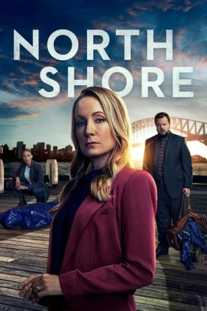  North Shore - Saison 1 affiche 