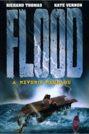 Regarder Inondations : Un fleuve en colère en streaming complet