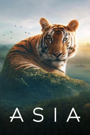 Regarder L'Asie - Saison 1 en streaming complet