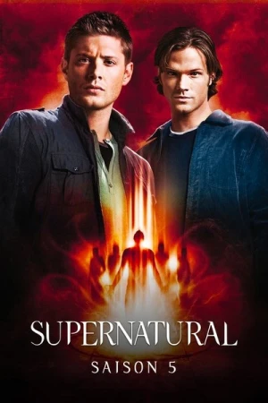  Supernatural - Saison 5 affiche 