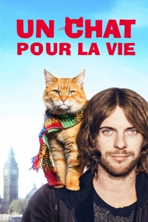 Regarder Un chat pour la vie en streaming complet