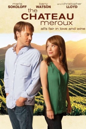 Regarder Coup de Foudre à Napa Valley en streaming complet