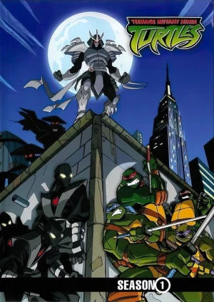  Les Tortues Ninja - Saison 1 affiche 