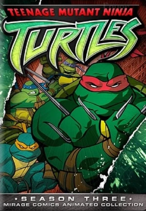  Les Tortues Ninja - Saison 3 affiche 